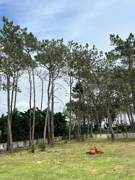 Casa De Maio - New T2 - Arrifana Beach 650 Mts 알제주르 0*,  포르투갈